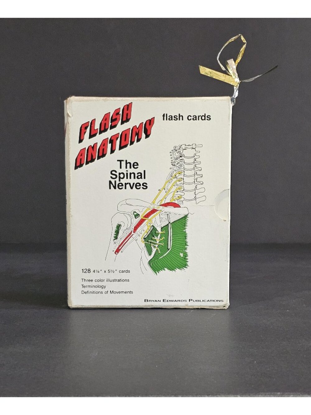 Vintage Flash Anatomy Medical Student Flash Cards The Spinal Nerves